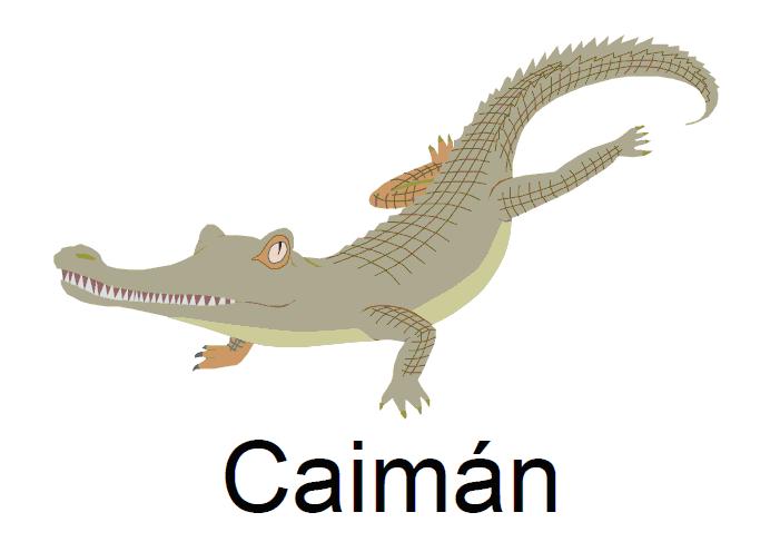 caiman