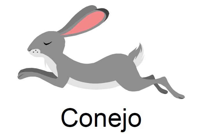 conejo