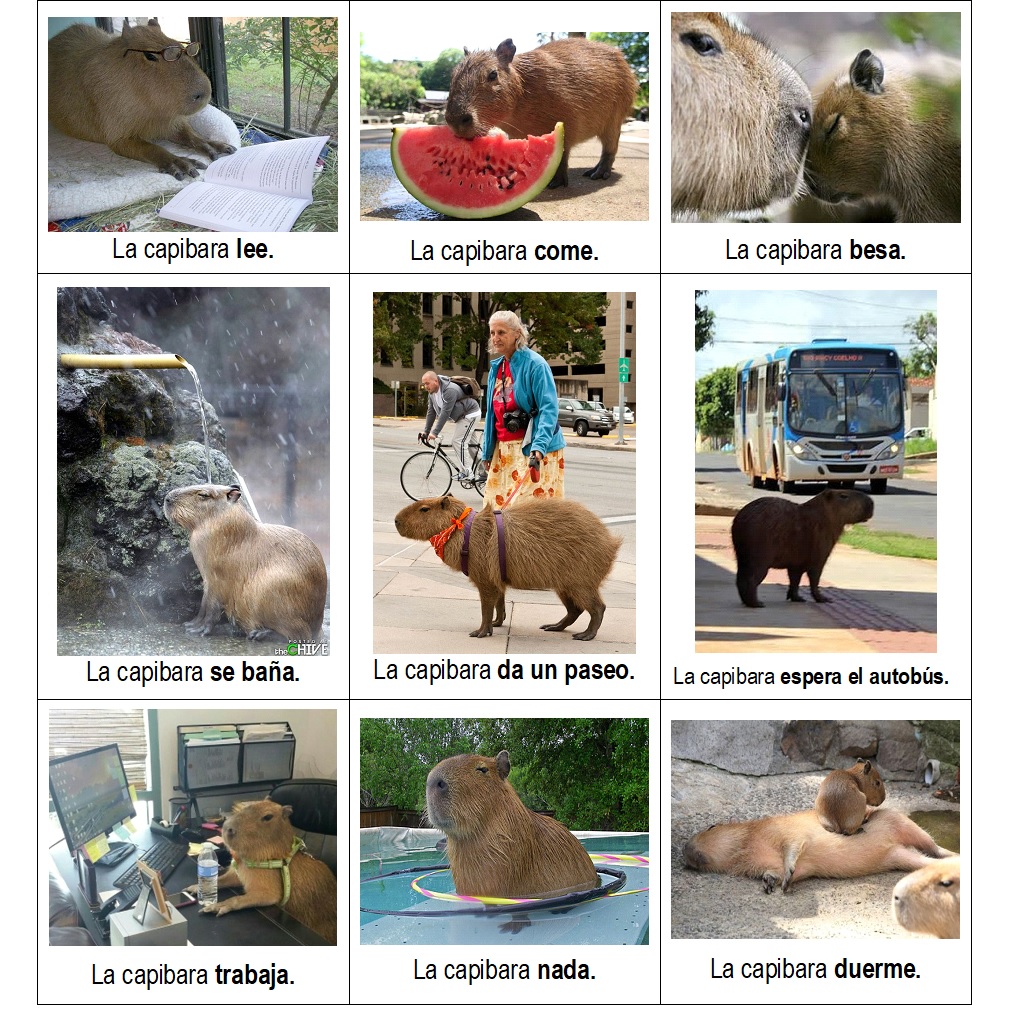 The Happy Capybara